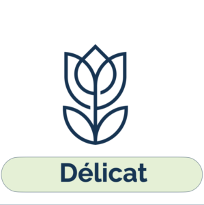 Délicat