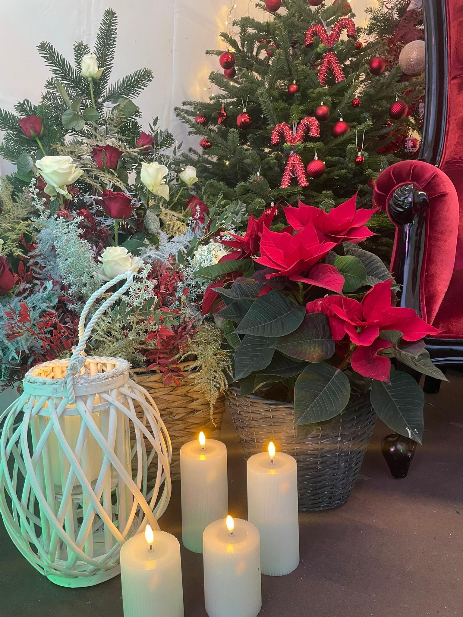 Décoration de vitrine de Noël – façade immersive 5