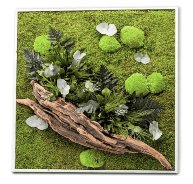 cadre vegetal fleuriste zen