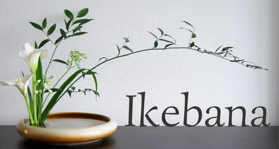 composition de style ikebana épurée et élégante les fleurs de tonton